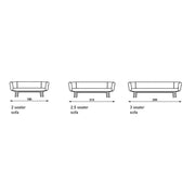 Bras 2.5 Seat Sofa Sofa Artifort 
