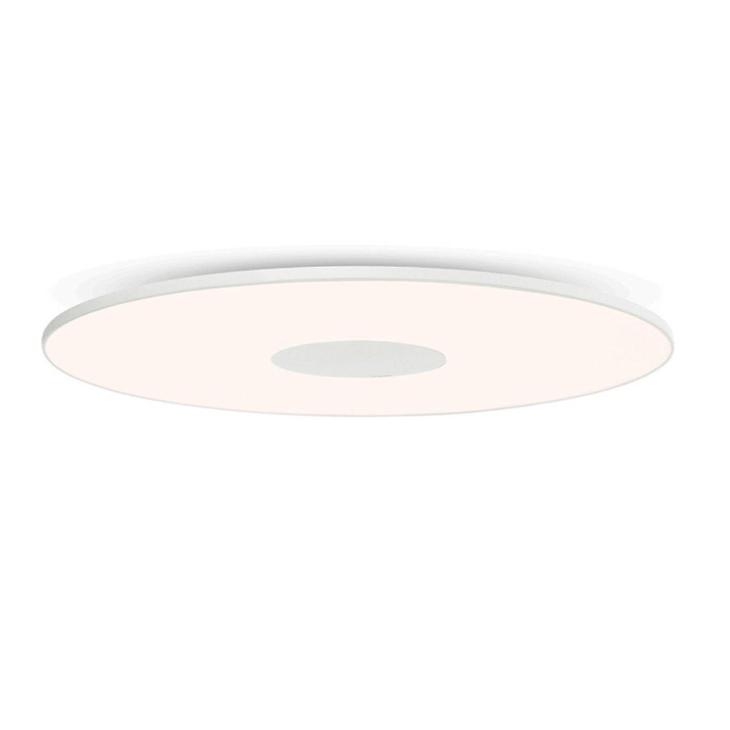 Circa Flush Ceiling Light wall / ceiling lamps Pablo 