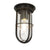 Ship's Well Glass Ceiling Light with Guard ceiling lights Original BTC Weathered Brass Clear Glass 