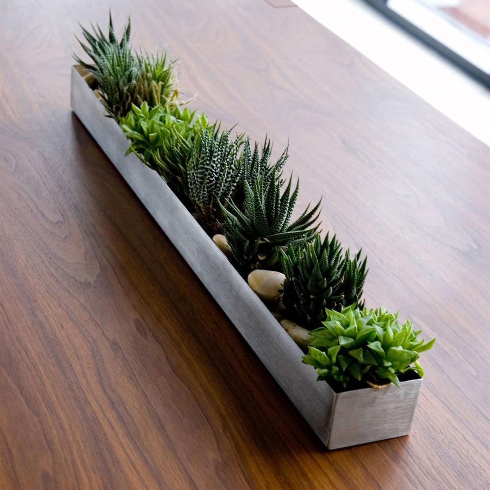 trough for succulents Fruit Trough