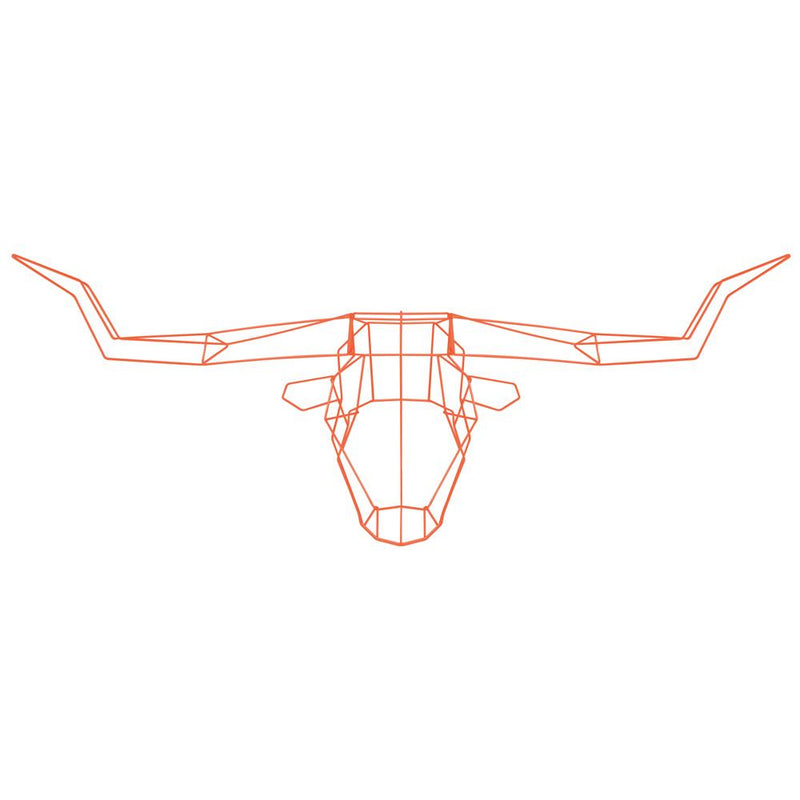Long Horn Trophy Head Accessories Bend Goods Orange 