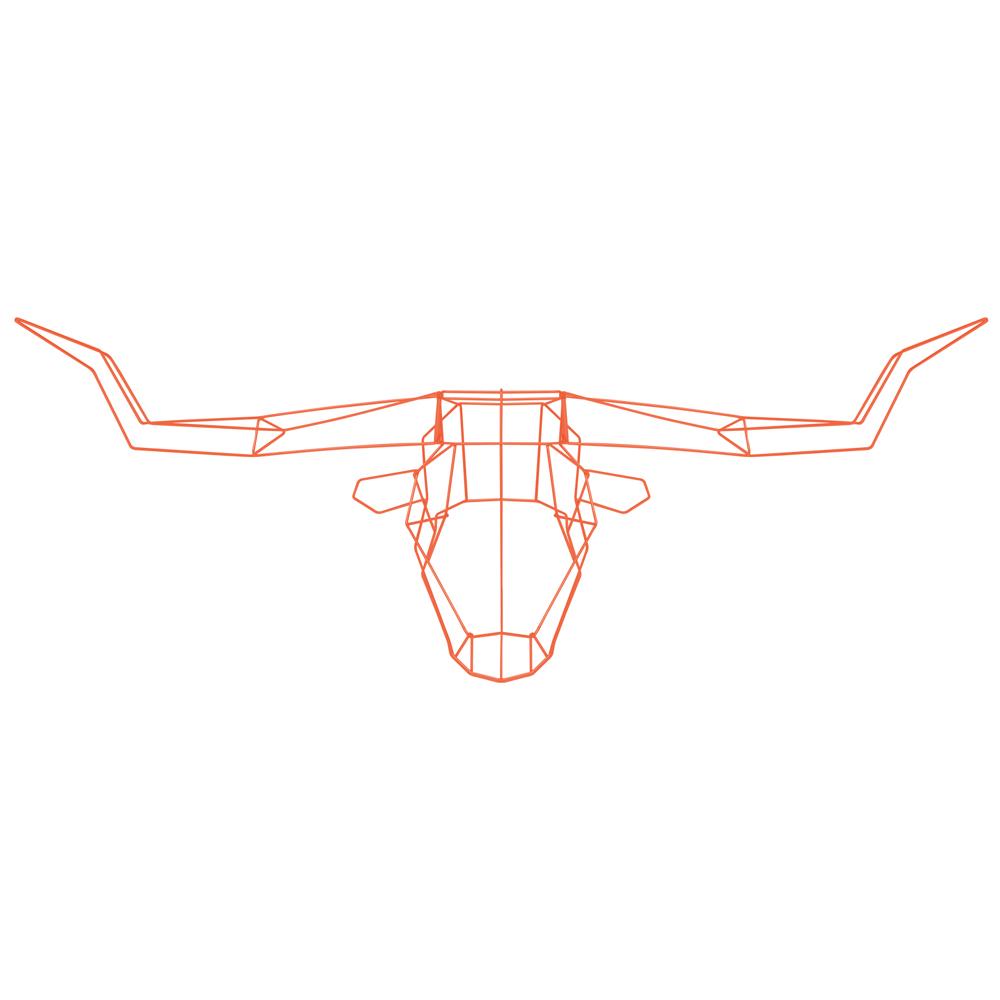 Long Horn Trophy Head Accessories Bend Goods Orange 