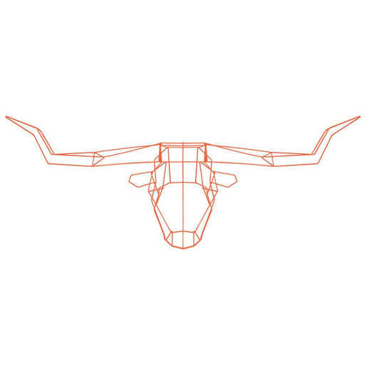Long Horn Trophy Head Accessories Bend Goods Orange 