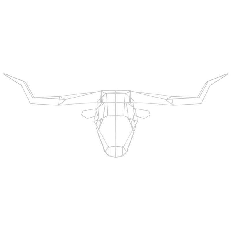 Long Horn Trophy Head Accessories Bend Goods White 