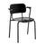 Lukki Chair Chairs Artek Black lacquered 