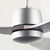 Arbor DC Ceiling Fan Ceiling Fans Modern Fan Co 