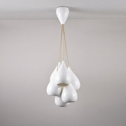 Drop One Grouping Of Six Pendant Light Pendant Lights Original BTC 