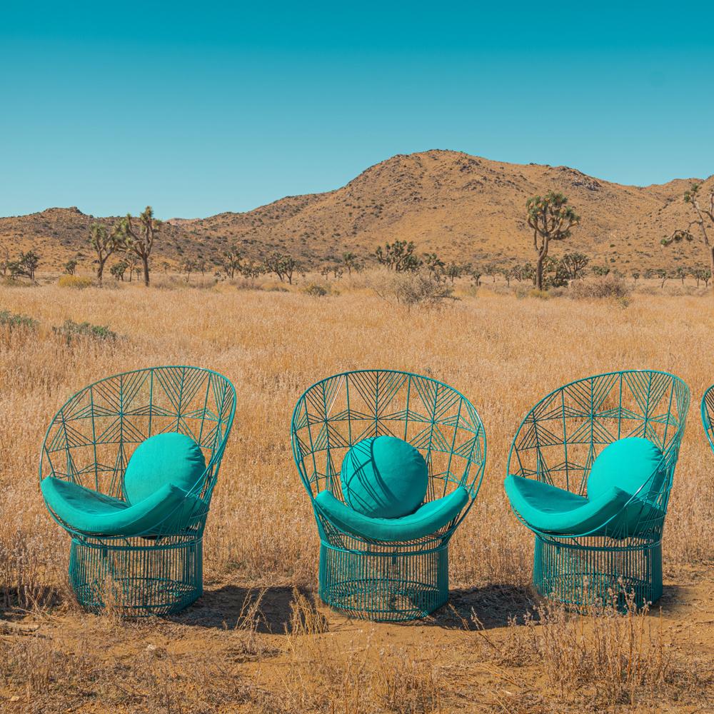 Peacock Pad &amp; Round Throw Pillow Accessories Bend Goods 