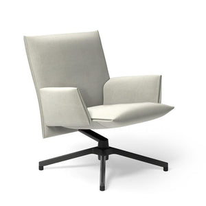 Pilot by Knoll™ - Low Back Lounge Chair with Upholstered Arms lounge chair Knoll Dark Grey Painted Delite fabric - Stone 