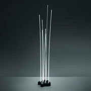 Reeds Floor Lamp Floor Lamps Artemide Transparent/Anthracite grey Indoor 