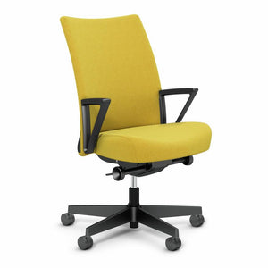 Remix Work Chair task chair Knoll Plastic Loop Plastic Parrot