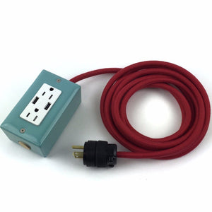 12' Exto Dual-Usb, Dual-Outlet - Mint Accessories Conway Electric 