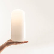 Gople Portable Table Lamp Table Lamps Artemide 