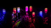 Gople Suspension Pendant Lights Artemide 