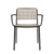 Audrey Armchair Side/Dining Kartell Black Painted Frame/Sand Seat & Back 