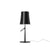 Birdie Table Lamp Table Lamp Foscarini Small On/Off Graphite 