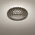 Caboche Plus Ceiling Lamp wall / ceiling lamps Foscarini 