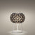 Caboche Plus Table Lamp Table Lamp Foscarini 