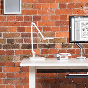Element Disc Light Lighting humanscale 