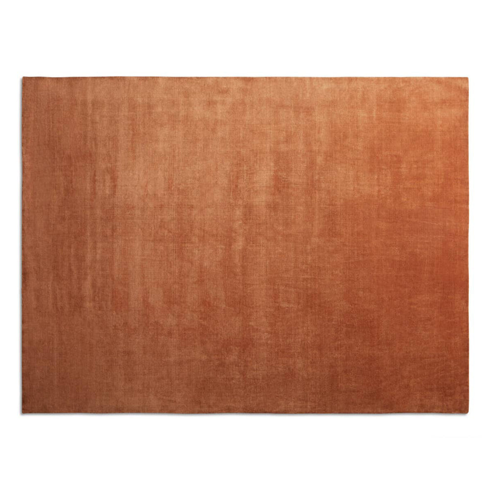 Filtered Out Rug Rugs BluDot 9" x 12" Copper 