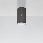 Calumet Outdoor Ceiling Light Outdoor Lighting Artemide 