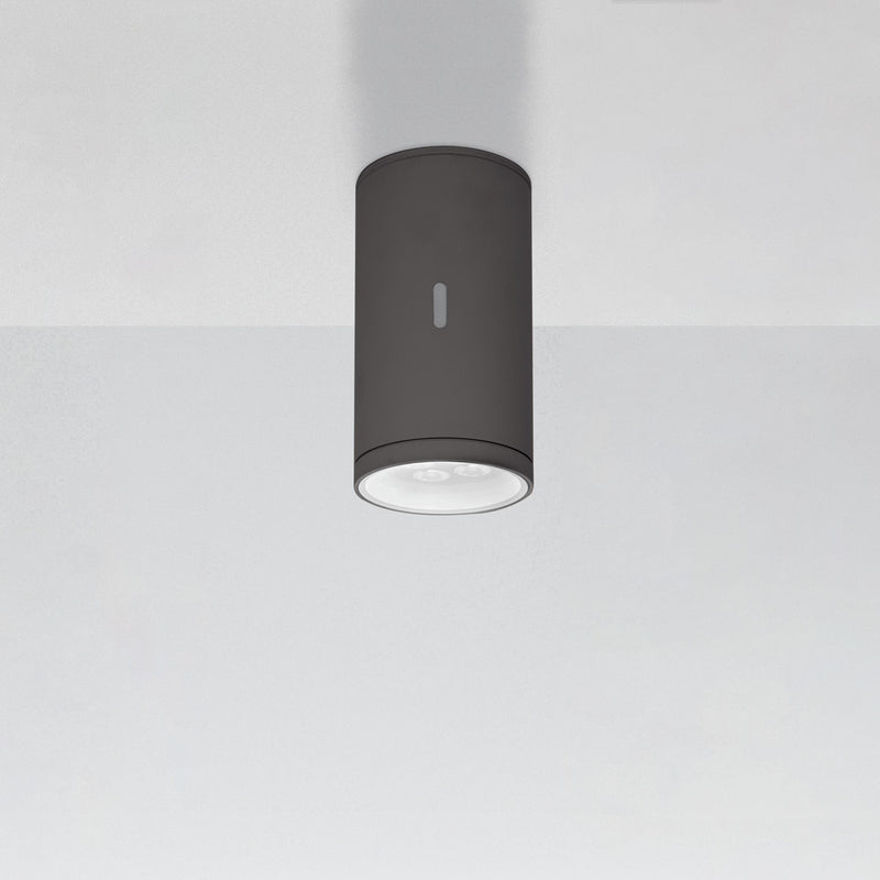 Calumet Outdoor Ceiling Light Outdoor Lighting Artemide 