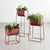 Modello Planter Set of 3 planter Gus Modern 