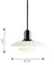 PH 2/1 Pendant Lamp hanging lamps Louis Poulsen 