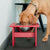 Minimalist Single Dog Bowl Stools Loll Designs 