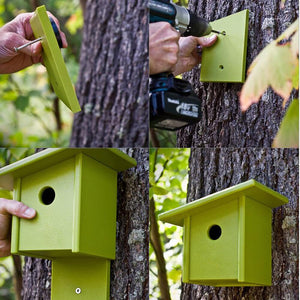 Pitch Modern Birdhouse Accessories Loll Designs 