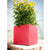 Square Planter planter Loll Designs 