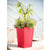 Tetra Tall Planter planter Loll Designs 