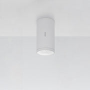 Calumet Outdoor Ceiling Light Outdoor Lighting Artemide 