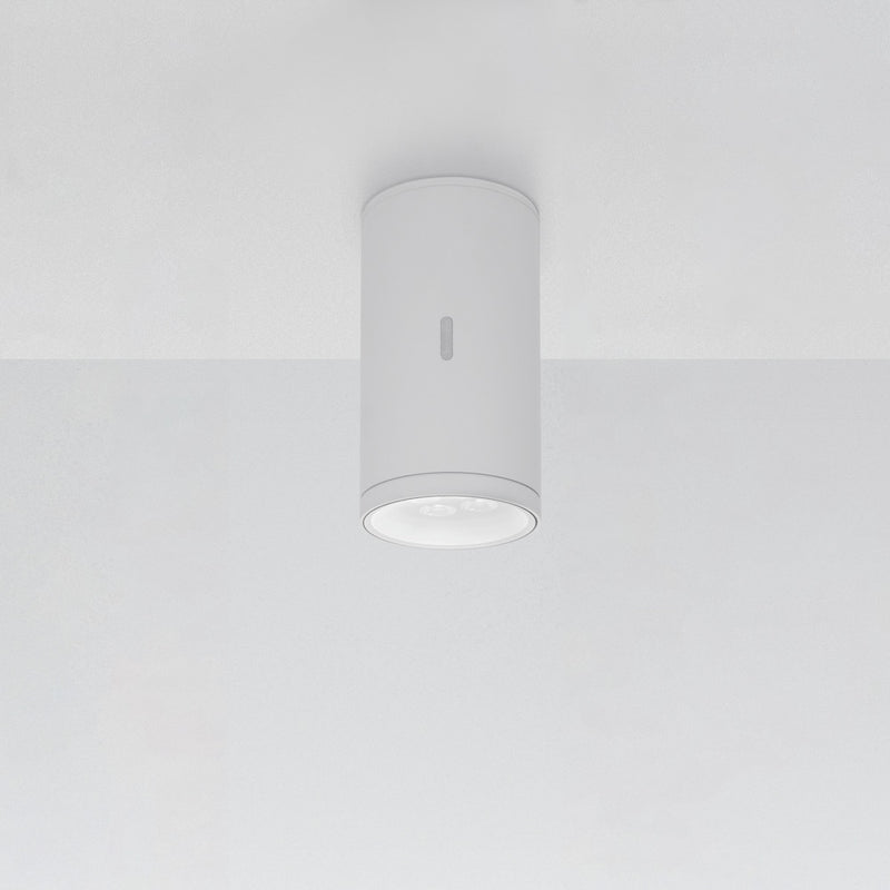 Calumet Outdoor Ceiling Light Outdoor Lighting Artemide 